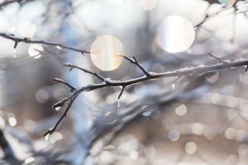 AdobeStock_120652916