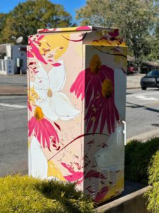 Inaugural Art Box located at Canton and Woodstock. Sponsored by Table and Main. Artist: Christina Kwan.